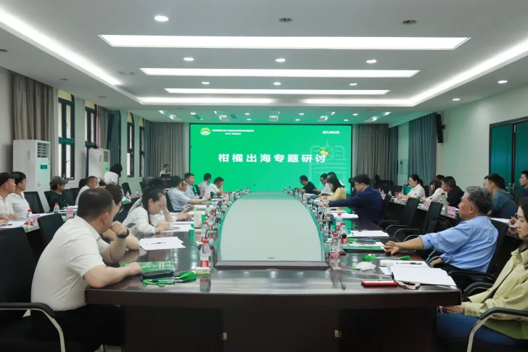 1779347077737350.png 圖片16.png
